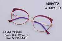 Оправа металл + TR90 ультратонкая женская с флексом Wilibolo TR3038