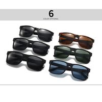 Plastic polarized men's square sunglasses Elit 2374-EL