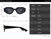 Sunglasses Elit in retro style 19053