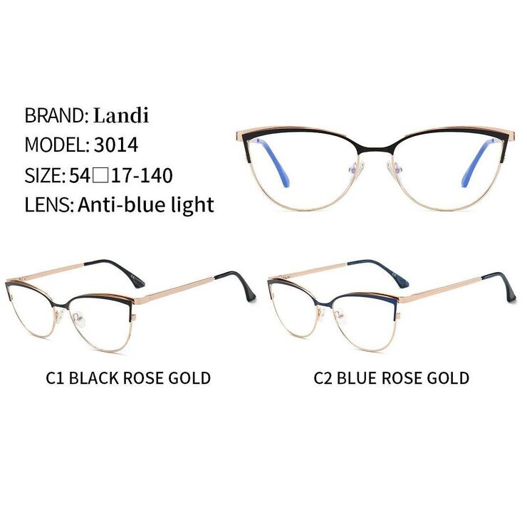 Protective anti-reflective coating metal glasses Landi LD3014