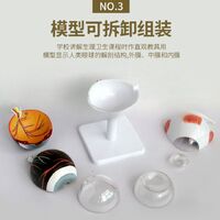 Анатомическая модель (макет) глаза, разборная, масштаб 3:1