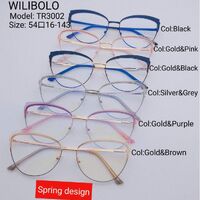 Оправа металл + TR90 ультратонкая с флексом Wilibolo TR3002