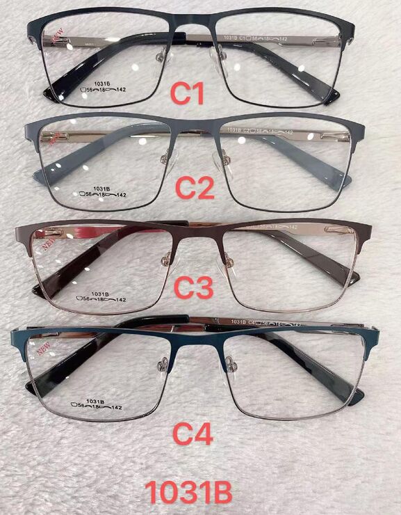 Metal frames for glasses 1031B