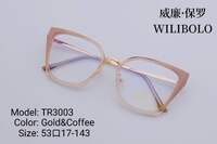 Metal +TR90 ultrathin frames with flex hinges Wilibolo TR3003