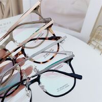 Оправа гибридная, металл + TR90, линзы с Blue Block покрытием SANTA M8045