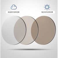 Photochromic glasses with blue light and UV protection 9661-GT