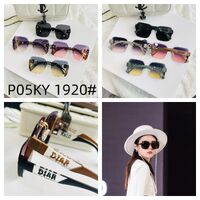 Polarized metal + TR90 sunglasses P05KY 1920