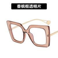 Plastic glasses with blue light protection for women 1916-PN