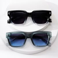 Plastic + metal square sunglasses for men Elit 3210-EL