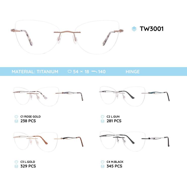 Titanium frames TW3001