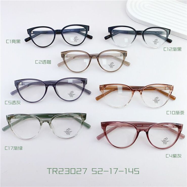 TR90 plastic frame with Blue Block coating SANTA TR23027