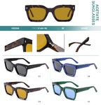 Polarized acetate plastic sunglasses Big City HS2858