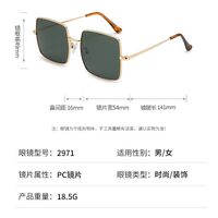 Polarized metal sunglasses with UV400 protection RB1971-GT