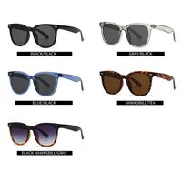 Plastic retro sunglasses with anti-blue light protection Elit 9254-EL-1