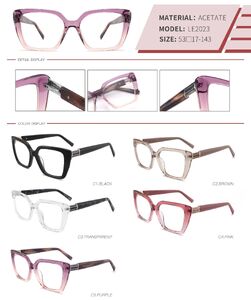 Оправа пластиковая из ацетата с флексом LE2023-DA