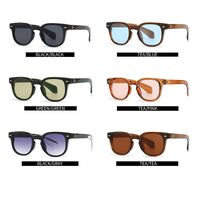 Plastic round sunglasses Elit 6007-EL