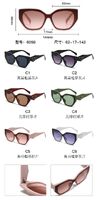 PC plastic sunglasses with metal hinge 6098W