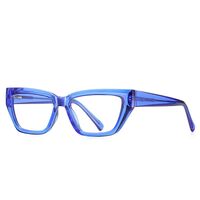 Plastic TR90 frames for glasses with Blue Ray Cut protection and flex hinges FOCUS FCS2155