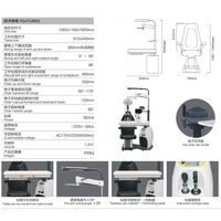Ophthalmologist workstation, combined table + chair S-900C, tabletop 910*440 mm