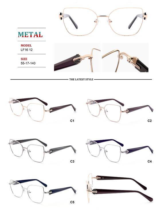 Metal frames for glasses with spring hinges Big City LF1612