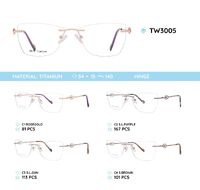 Rimless titanium frame TW3005