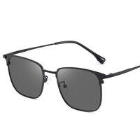 Photochromic glasses with blue light and UV protection 9670-GT