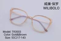 Metal +TR90 ultrathin frames with flex hinges Wilibolo TR3003