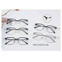 Combined frame (metal + TR90) MAMO 9910