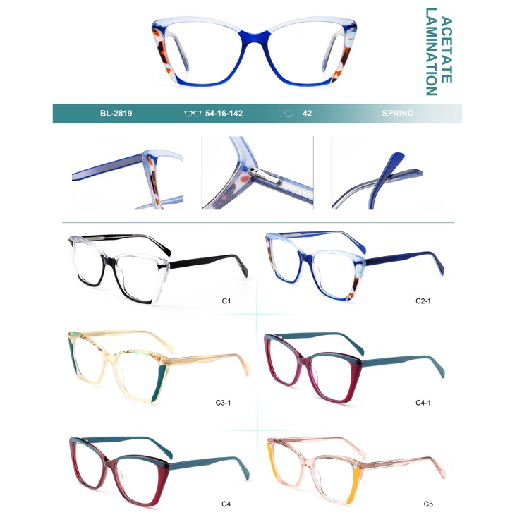 Plastic frames for glasses, acetate lamination Big City BL-2819