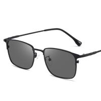 Photochromic glasses with blue light and UV protection 9660-GT