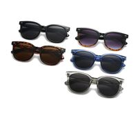 Plastic retro sunglasses with anti-blue light protection Elit 9254-EL-1