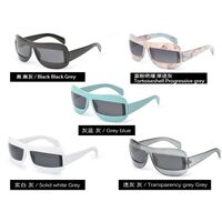 Plastic sunglasses Elit 9144-EL