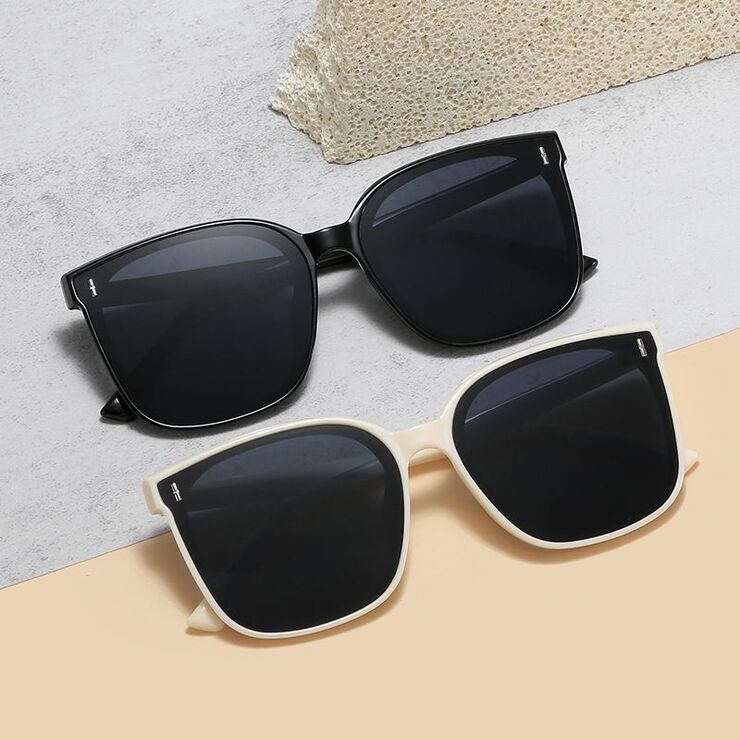 Plastic sunglasses FR201
