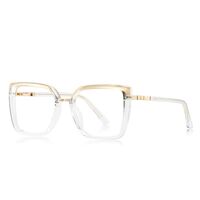 Оправа пластиковая из материала TR90 с защитой от синего света, с флексом FOCUS FCS2224