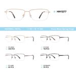Nylor metal men's frame for glasses with spring hinges MM1077