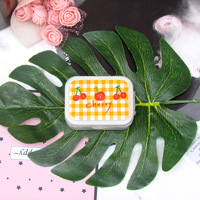 Kit for soft contact lenses (Kits for contact lenses) ZZ107