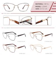 Metal frame with spring hinges LE8848-DA