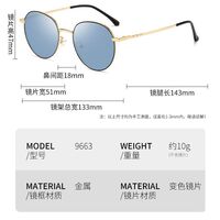 Очки металлические фотохромные с защитой от синего света 9663-GT