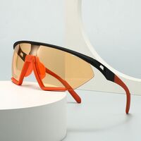 Plastic sunglasses Elit 2469-EL