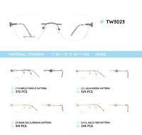 Titanium metal rimless frame TW3023