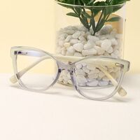 Plastic frame with anti-blue light protection lenses, with spring hinges Elit 5702-EL