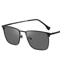 Photochromic glasses with blue light and UV protection 9682-GT