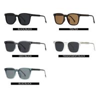 Plastic polarized sunglasses Elit 10034-EL