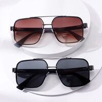 Metal retro sunglasses Elit ZTT033-EL