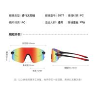 Plastic rimless sunglasses with UV400 protection 2977-GT