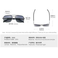 Polarized metal sunglasses with UV400 protection 2955-GT