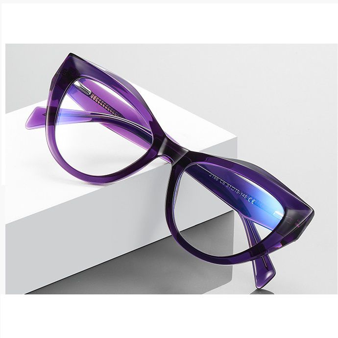 Оправа пластиковая из материала TR-90 с флексом FOCUS FCS2166