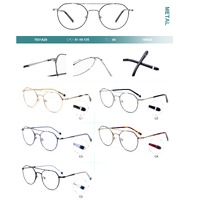 Metal frames for glasses Big City 7031A20