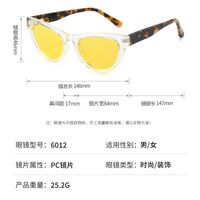 Polarized plastic TR90 sunglasses with UV400 protection 6012-GT