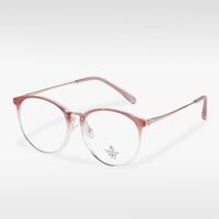 Combined frame (metal + TR90) with Blue Ray Cut protection lenses MAMO S11996